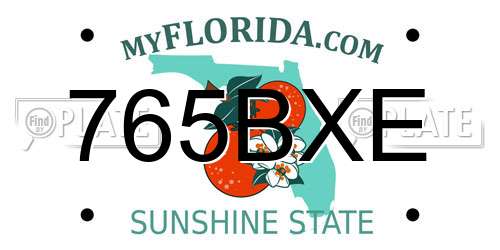 765BXE Florida License Plate