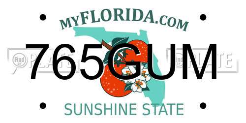 765GUM Florida License Plate