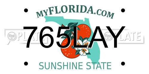 765LAY Florida License Plate