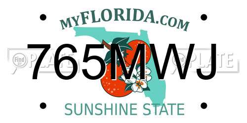 765MWJ Florida License Plate