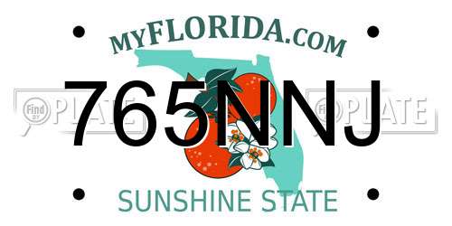 765NNJ Florida License Plate