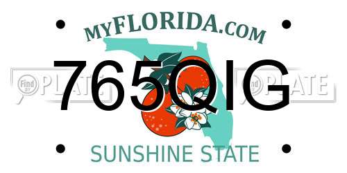 765QIG Florida License Plate