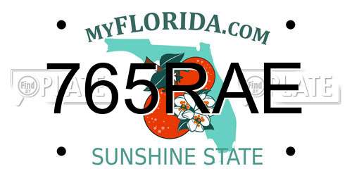 765RAE Florida License Plate