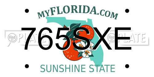 765SXE Florida License Plate