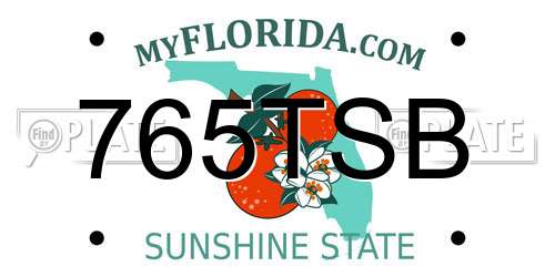 765TSB Florida License Plate