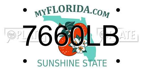 7660LB Florida License Plate