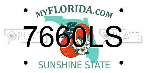 7660LS Florida License Plate