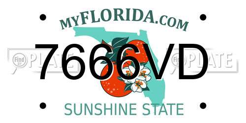 7666VD Florida License Plate