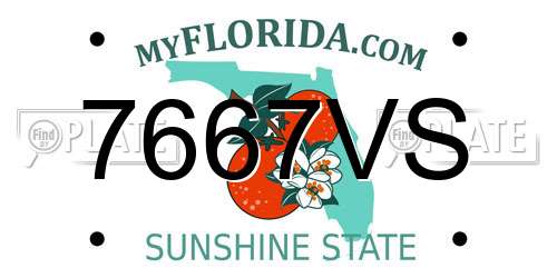7667VS Florida License Plate