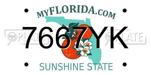 7667YK Florida License Plate