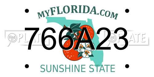 766A23 Florida License Plate