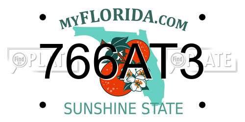 766AT3 Florida License Plate