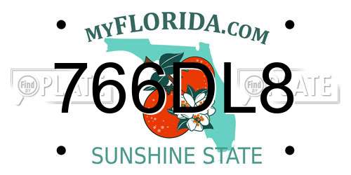 766DL8 Florida License Plate