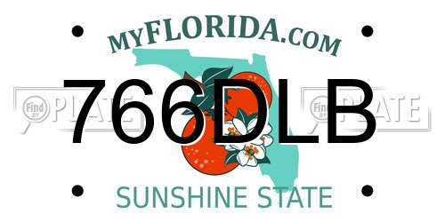 766DLB Florida License Plate