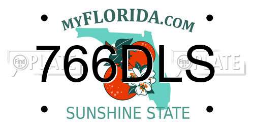 766DLS Florida License Plate