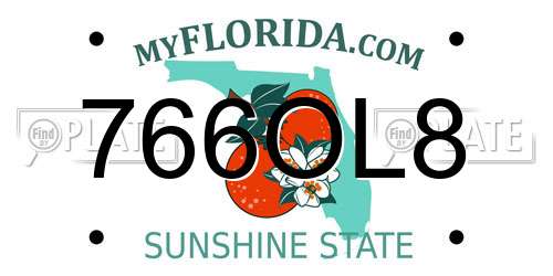 766OL8 Florida License Plate