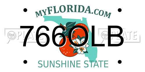 766OLB Florida License Plate