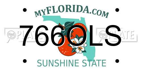 766OLS Florida License Plate