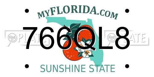 766QL8 Florida License Plate