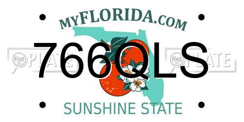 766QLS Florida License Plate