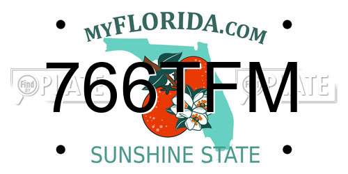 766TFM Florida License Plate