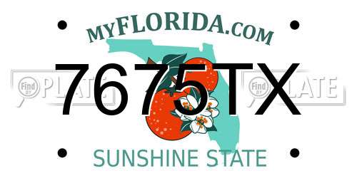 7675TX Florida License Plate