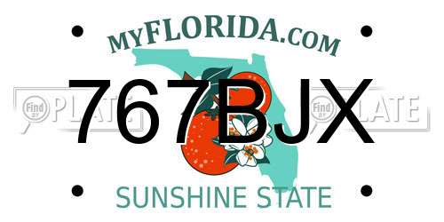 767BJX Florida License Plate