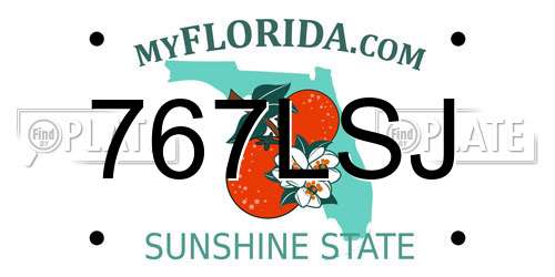 767LSJ Florida License Plate
