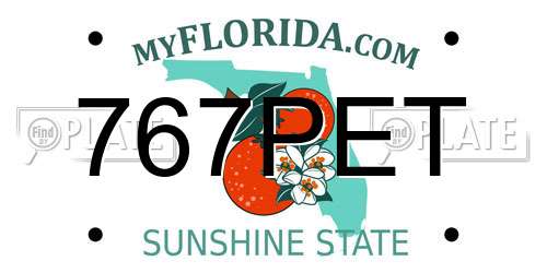 767PET Florida License Plate