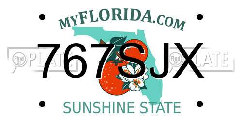 767SJX Florida License Plate