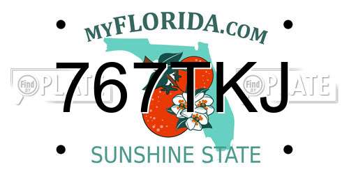 767TKJ Florida License Plate