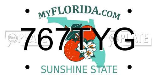 767TYG Florida License Plate