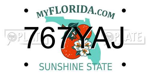 767YAJ Florida License Plate