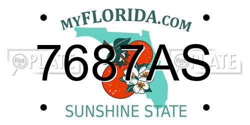 7687AS Florida License Plate