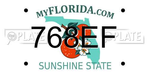 768EF Florida License Plate