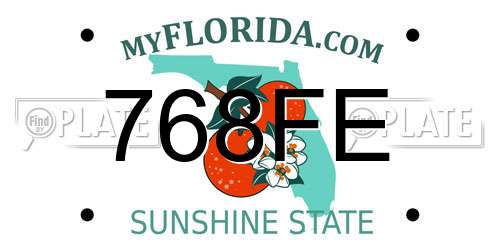 768FE Florida License Plate