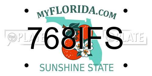 768IFS Florida License Plate