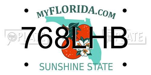 768LHB Florida License Plate