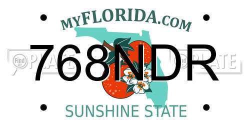 768NDR Florida License Plate