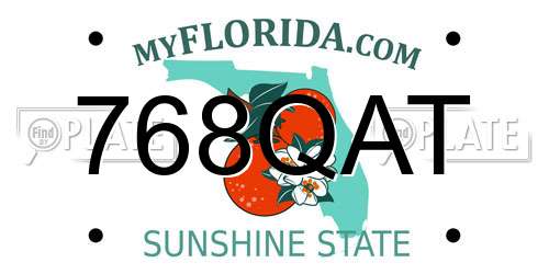 768QAT Florida License Plate
