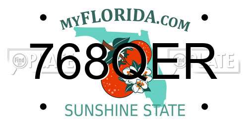 768QER Florida License Plate