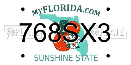 768SX3 Florida License Plate
