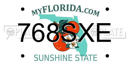 768SXE Florida License Plate