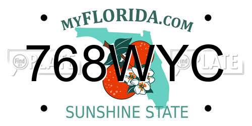 768WYC Florida License Plate