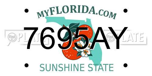 7695AY Florida License Plate