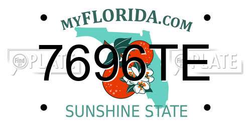 7696TE Florida License Plate