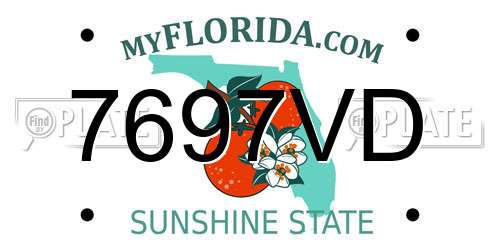 7697VD Florida License Plate
