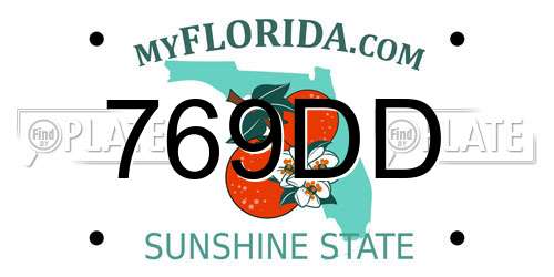 769DD Florida License Plate