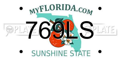 769LS Florida License Plate