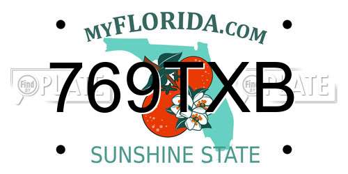 769TXB Florida License Plate